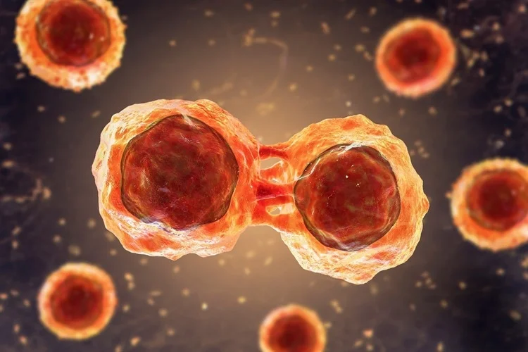 Stem Cell Therapy India